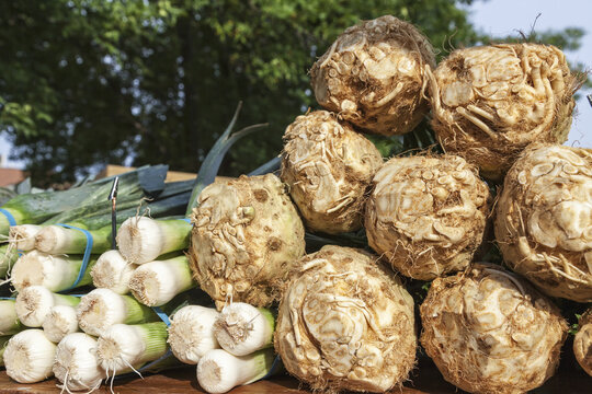 Leeks And Celery Root At Farmer's Market; Rochester, Minnesota, United States Of America