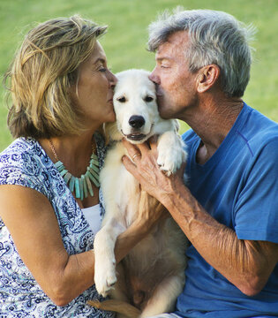 Portrait Of A Couple With Golden Retriever Puppy; Paia, Maui, Hawaii, United States Of America