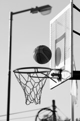 Pelota y Aro de B&aacute;squetbol