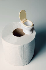 Miniature toilet on toilet paper roll, close up and isolated photo. health and commercial concept.