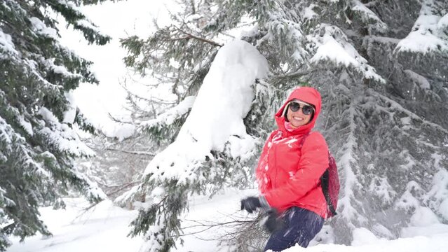 Smiling young woman in sunglasses dressed warm winter trekking red jacket beating a spruce branch covered with snow starting snowfall. Happy wintertime vacation concept 4K footage.