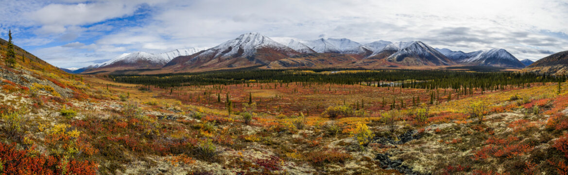 Panoramic View Of The Ogilvie Mountains Along The Dempster Highway; Yukon, Canada