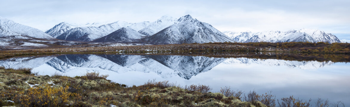 Mount Adney Reflected In A Pond Along The Dempster Highway In The Northern Yukon; Yukon, Canada