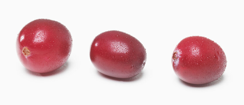 Three Fresh Cranberries On A White Background; Toronto, Ontario, Canada