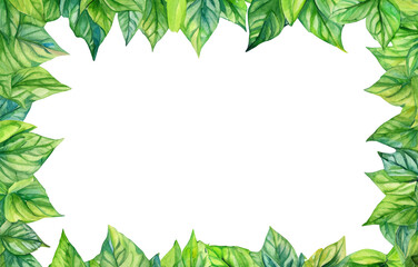 葉っぱの装飾フレーム・水彩・ジェネレーティブAI