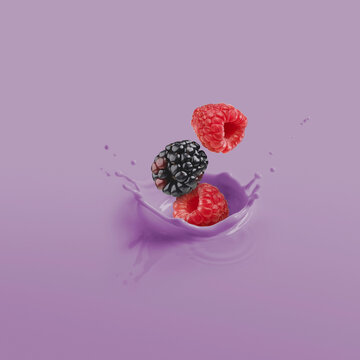 Blackberry And Raspberries Splashing In Purple Liquid; Toronto, Ontario, Canada