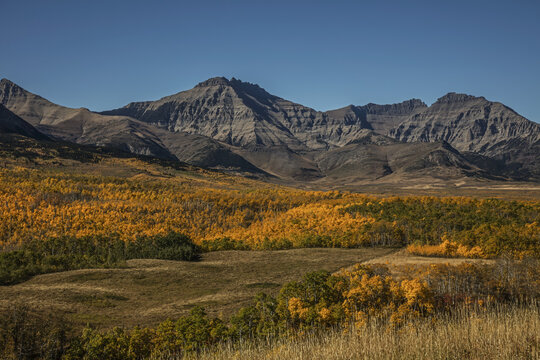 Mountains And Foothills With Autumn Colours; Alberta, Canada