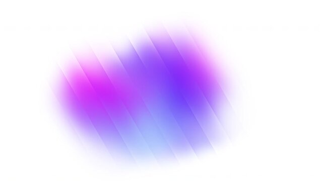 Blue, pink and purple gradient waves abstract smooth motion on white background. Seamless looping animation