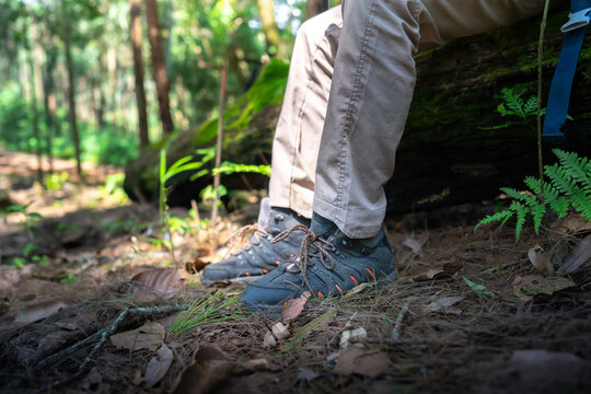 Closeup of male hiker trekking shoes on their adventure in forest.