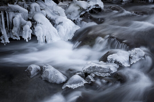 Ice forming along a small stream in Alaska's Tongass Forest heralds the coming of the winter season, Juneau, Alaska.