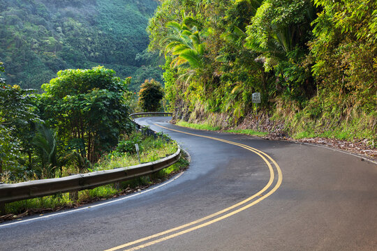 The road to hana with green foliage; Maui hawaii united states of america