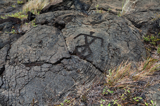 Pu'u Loa Petroglyphs; Big Island, Hawaii, United States Of America