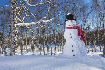 Snowman Wearing A Red Scarf And Black Top Hat In A Wooded Park With Snow Covered Mountains And Blue Sky In The Background; Anchorage, Alaska, United States Of America