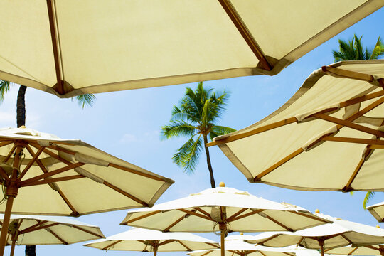Hawaii, Kauai, A Group Of Umbrellas On The Beach.