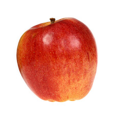 Red apple on white background