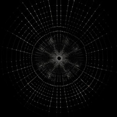 Fototapeta premium A black and white circular object