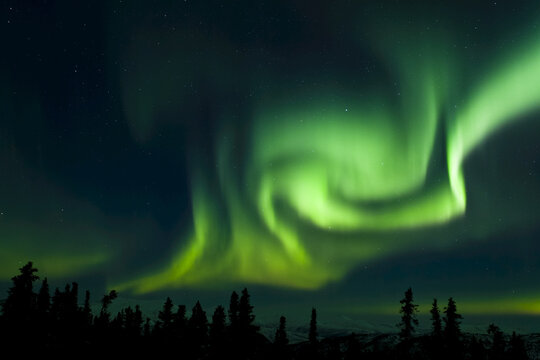 The Bright Neon Green Aurora Swirling Above The Boreal Forest, Chena River State Recreation Area; Fairbanks, Alaska, United States Of America