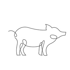 Pig single line illustration drawing template