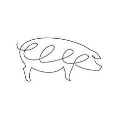 Pig single line illustration drawing template