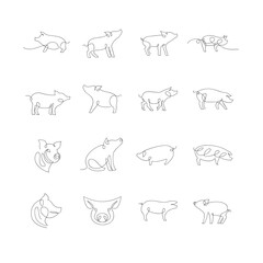 Pig single line illustration drawing template