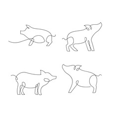 Pig single line illustration drawing template