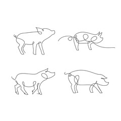 Pig single line illustration drawing template