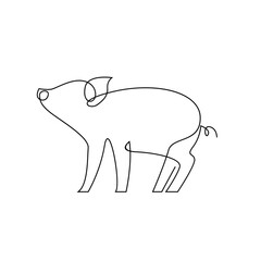 Pig single line illustration drawing template