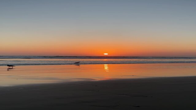 sunset on the beach LA orange summer vertical video