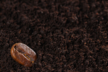 Coffee beans and ground coffee