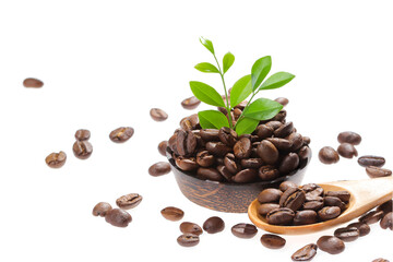 coffee beans isolated on white background