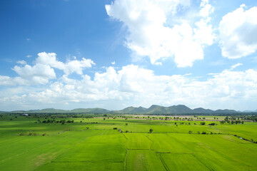 Green field and blue sky