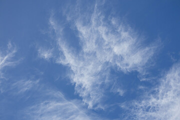 Thin clouds in the morning sky