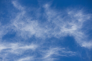 Thin clouds in the morning sky