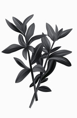 Basil branches, isolated vector elements 3d. Black and white stem with leaves. Fragrant plant branch, a bush of fresh basil, bundle. An ingredient for cooking and decorating food, seasoning.