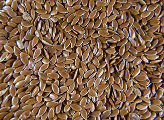 close up of a seeds