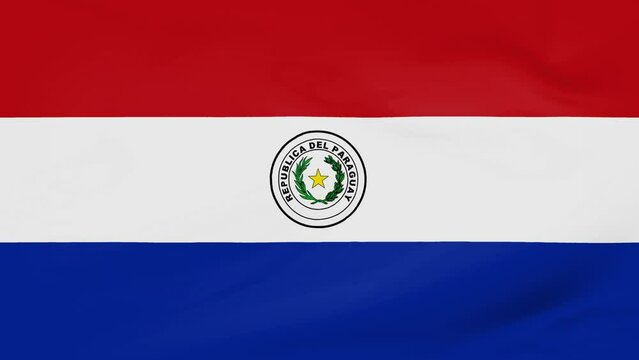 Paraguay flag waving animated background
