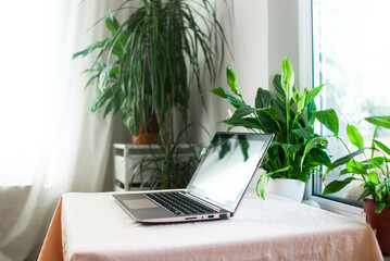 Workplace with laptop while staying at home during an epidemic among the home garden