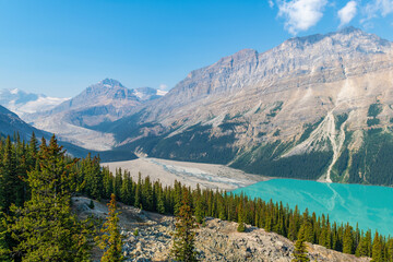 Turquoise Peyto Lake and Peyto Glacier on the far left, Banff national park, Canada.