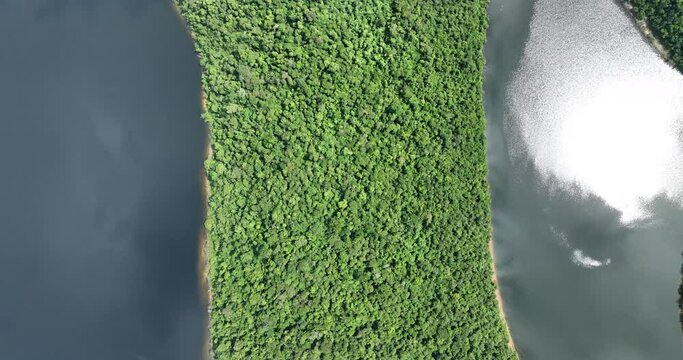 Aerial birdseye backwards over lush vegetation, sunlight reflected in river water
