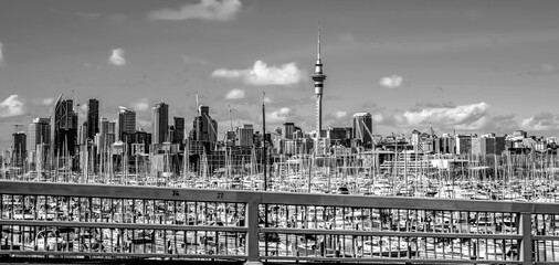 Fototapeta premium Auckland City, New Zealand