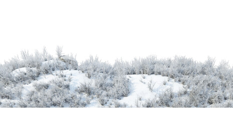 Snow on the ground with many grasses and plants on transparent background