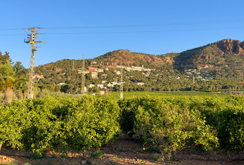Obraz premium Houses on Mountain, view. Mountains landscape. Towhouse and Home on hills. House in mountains. Villa in mountains in El Picaio, Valencia, Spain. Rural landscape with hills.