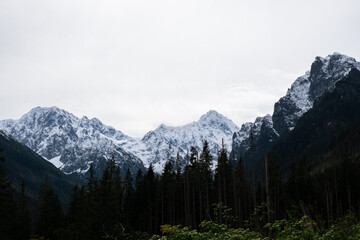 Snowy mountains, green forests In National park Zakopane Poland. Mountain nature landscape. Blue sky. Travel outdoors green tourism concept Naturecore. Hiking wellbeing 