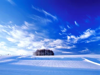 Keuken spatwand met foto 早朝の丘とカラマツ林（美瑛町） © itoh masako