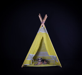 wigwam for children on a black background © serikbaib