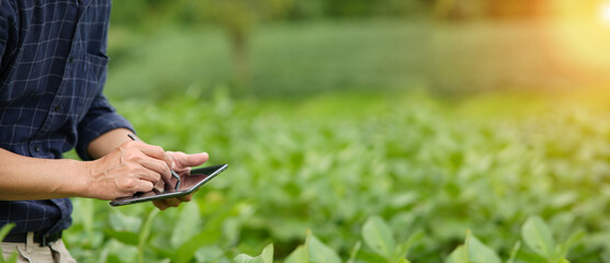 Hands of farmer, Agriculture technology farmer man using tablet Modern technology concept...
