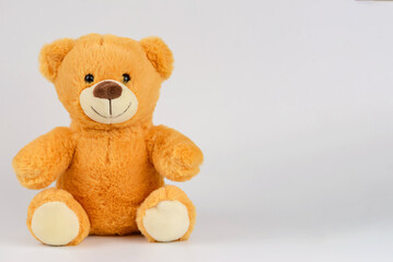 teddy bear with cup on white background