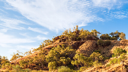 A rehabilitated hill and tailings at an old uranium mine in Queensland, Australia. © Shirley and Johan