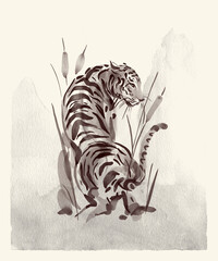 TIGER ILLUSTRATION DESIGN WATER COLOR DRAWING