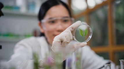 Scientist female researching with plant biotechnology concept with in laboratory.
